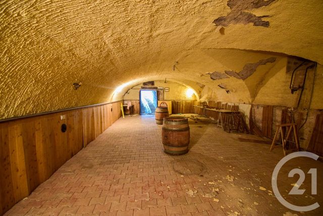 maison à vendre - 8 pièces - 500.0 m2 - ST ETIENNE LA VARENNE - 69 - RHONE-ALPES - Century 21 Coquillat Immobilier