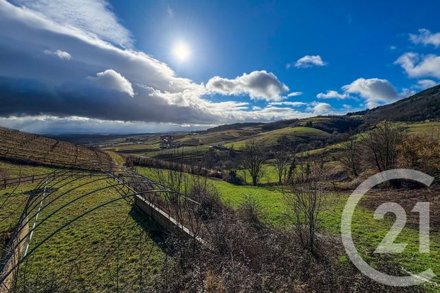 maison à vendre - 5 pièces - 201.53 m2 - BLACE - 69 - RHONE-ALPES - Century 21 Coquillat Immobilier